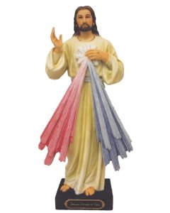 Divine Mercy 8" Color