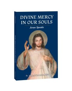 Divine Mercy in Our Souls