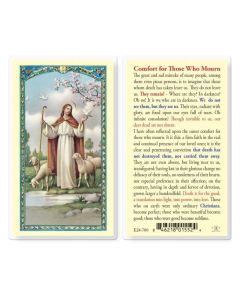 For Those Who Mourn Holy Card