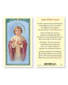 HC Little White Guest
