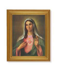 Immaculate Heart Mary Frame