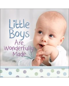 Litttle Boys are Wonderfully