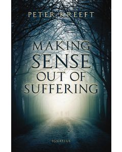 Making Sense Out of Suffering