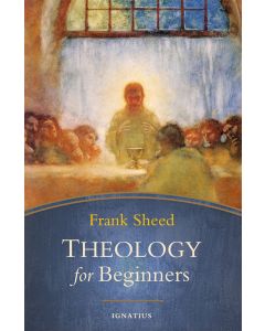 Theology for Beginners 