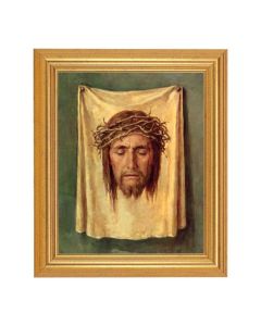 Veronicas Veil Framed
