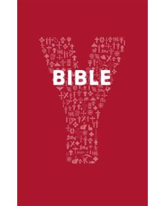 Youcat Bible