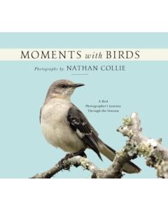Moments with Birds: A Bird Photographer's Journey Through the Seasons