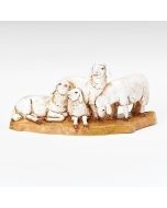 5" Sheep Herd  