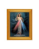 Divine Mercy Spanish Framed