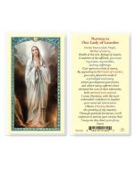 Our Lady of Lourdes Novena HC