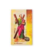 St Andrew Bio Card